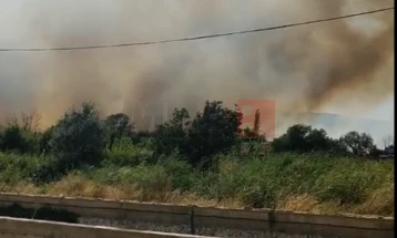 Голем пожар избувна попладнево во близина на Струмица