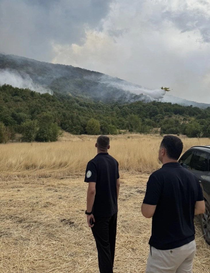 Drejtori i QMK-së, Muhamed Ali dhe kryetari i komunës Blerim Sejdiu në terren pas riaktivizimit të zjarrit në komunën e Zhelinës