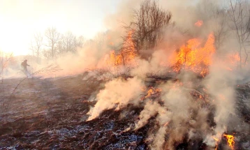 CMC: Out of 33 wildfires, 16 extinguished and 5 under control