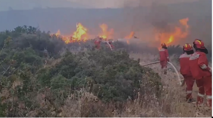 Në të gjithë Shqipërinë ka zjarre, më kritike në jug, helikopterë në veprim, banorët dhe turistët po evakuohen