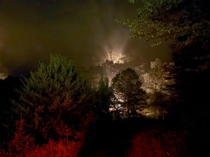 Сѐ уште активен пожарот во Нерав, и АРМ ќе се вклучи во гасењето 