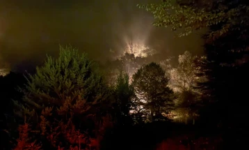 Сѐ уште активен пожарот во Нерав, и АРМ ќе се вклучи во гасењето 