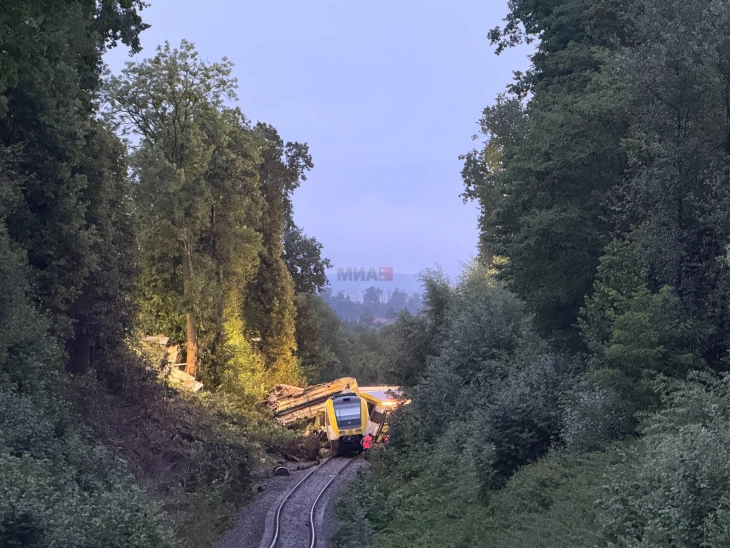 Тројца загинати, десетици повредени во вчерашната железничка несреќа во југозападна Германија