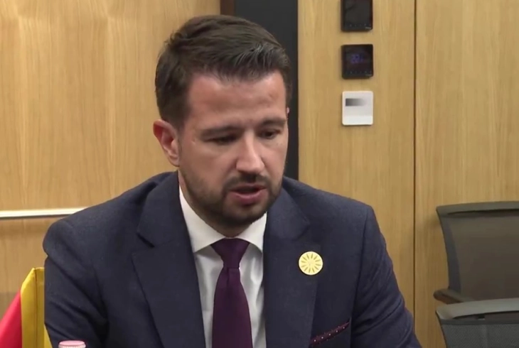 Милатовиќ бара меѓународна помош за гаснење на пожарите во Црна Гора