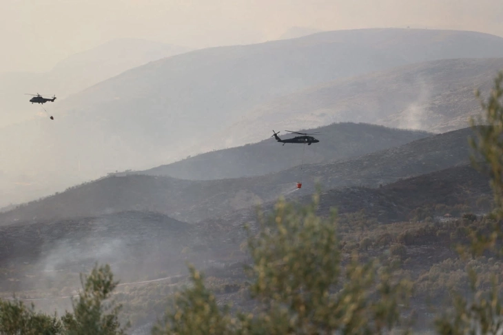 Трет ден гори Националниот парк „Преспа
