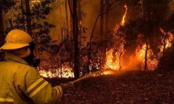 Czechia and Slovenia to help North Macedonia tackle wildfires