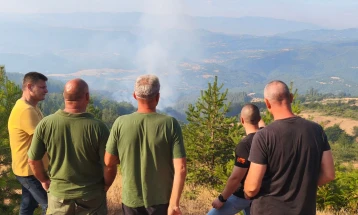 Македонска Каменица: Делумен напредок во гаснењето на пожарот кај селата Косевица и Моштица