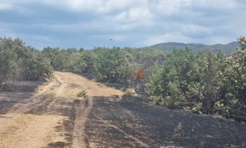 Пожарот на планината „Готен“ на радовишка страна под контрола