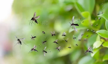 Терестичко прскање против комарци на 4 август во Пехчево и околните места