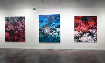 „Нурни во мене“ - самостојната изложба на Сашо Блажес