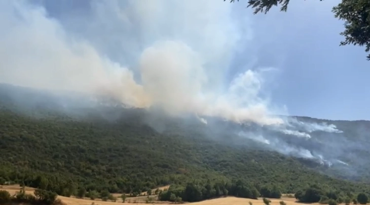 Нов пожар кај тетовско Желино, ангажирани два „ер трактори“