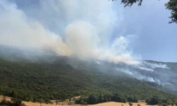 Нов пожар кај тетовско Желино, ангажирани два „ер трактори“