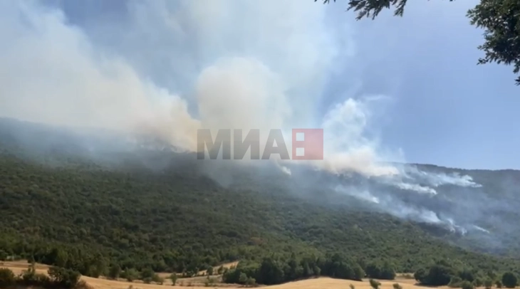 ЦУК: Во пожарот кај тетовско Желино ангажирани два „ер трактори“