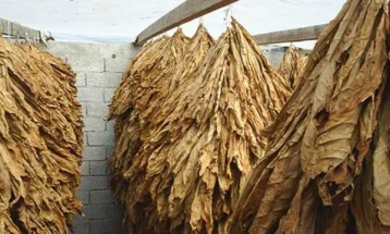 Измени во Законот за тутун за заштита на домашното производство:  Забранет е увоз додека трае откупот