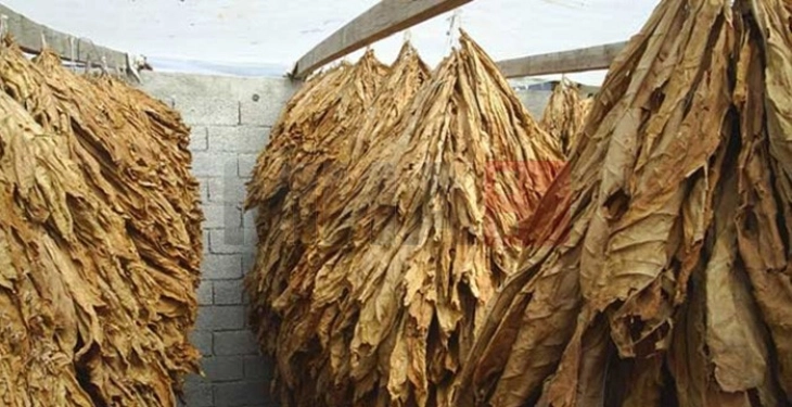 Ndryshimet në Ligjin për duhan për të mbrojtur prodhimin vendor: Importi është i ndaluar derisa zgjat blerja