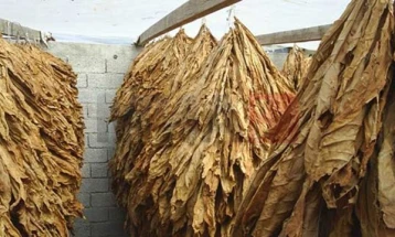 Ndryshimet në Ligjin për duhan për të mbrojtur prodhimin vendor: Importi është i ndaluar derisa zgjat blerja