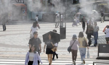 Јапонија регистрира рекордно високи температури, стравувањата растат за реколтата на ориз