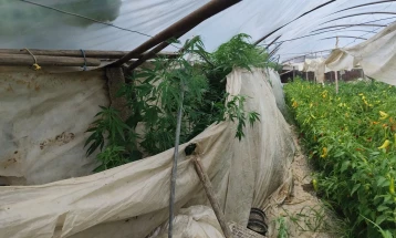 Пронајдена дрога при претрес во Стојаково, кривична пријава и притвор за едно лице