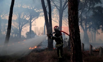 Zjarri në Francën jugore nën kontroll, por përpjekjet vazhdojnë