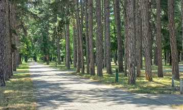 Битолските пожарникари спасија заглавено лице на дрво во Градскиот парк
