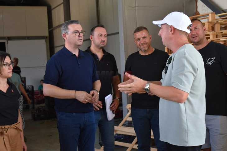 Tripunovski nga Strumica: Specat po grumbullohen pa pengesa, kemi rritje të subvencioneve për vitin 2025