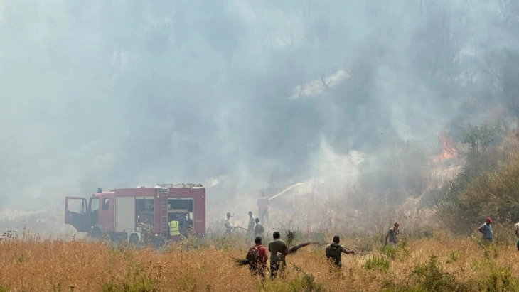 Беснеат 14 пожари во Албанија, се очекува да пристигнат хеликоптери од ОАЕ, Грција и други земји од ЕУ