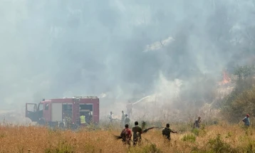 Беснеат 14 пожари во Албанија, се очекува да пристигнат хеликоптери од ОАЕ, Грција и други земји од ЕУ