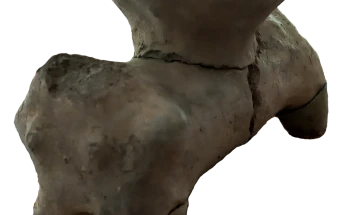 New archeological findings shed light on everyday life 8,000 years ago at Tumba Madzari site