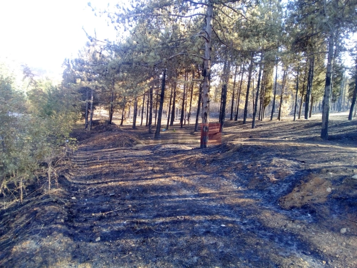 ЦУК: Активен пожар во Македонски Брод, еден под контрола, 14 изгаснати