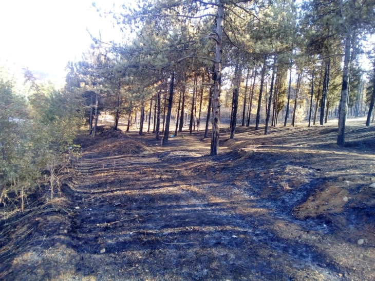 QMK: Zjarr aktiv në Makedonski Brod, një nën kontroll, 14 janë shuar