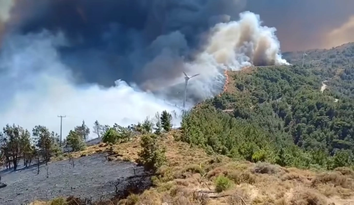 Вон контрола пожарите на грчкиот остров Хиос и во северозападниот дел на Пелопонез