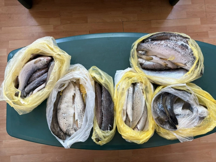 Царинска управа: На Ќафасан откриена пастрмка скриена во автомобил – во 2025 спречен шверц на вкупно 4 тони храна