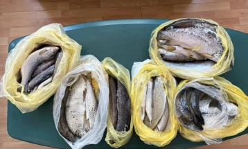 Царинска управа: На Ќафасан откриена пастрмка скриена во автомобил – во 2025 спречен шверц на вкупно 4 тони храна