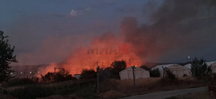 Нема зафатено објекти при вчерашниот пожар на Транзитниот центар Табановце