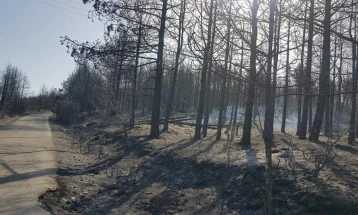 Пошумувањето значајна мерка за намалување на негативните ефекти од пожарите