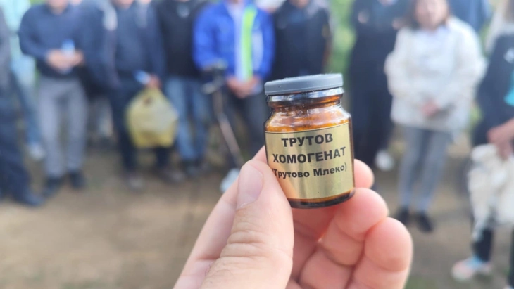 Qumështi i përftuar nga bletët meshkuj - një 