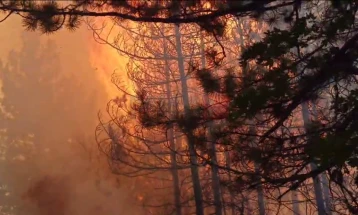 ЦУК: Четири активни пожари, три под контрола