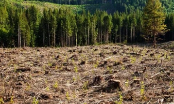 ДЗР: ЈП Национални шуми со ниска реализација на планот за  производство, зголемени долгови и намалена ликвидност