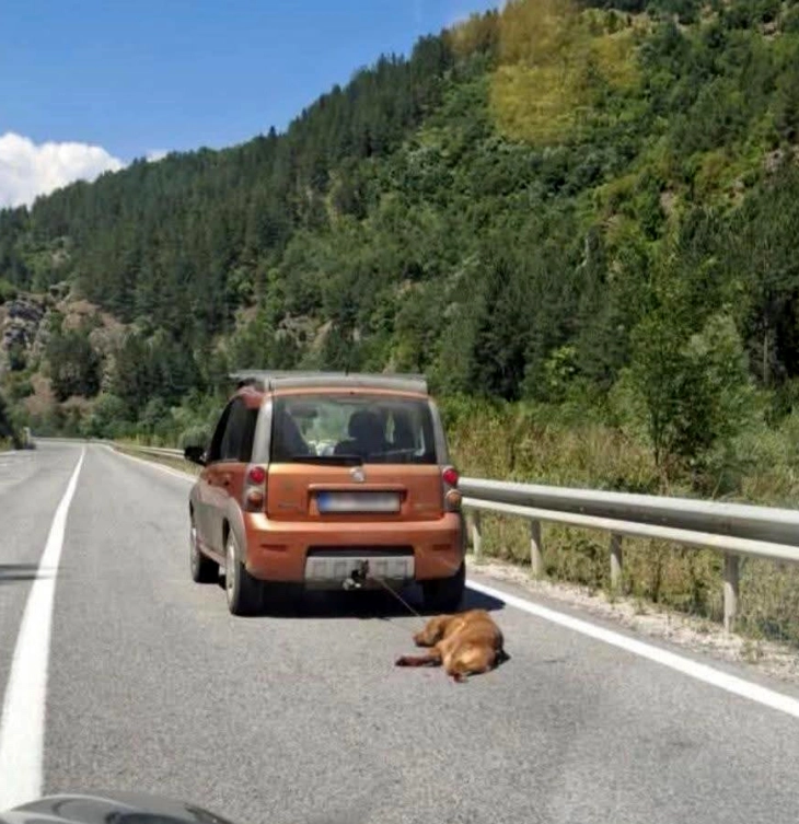 МВР: Поднесена пријава за лицето кое влечеше куче со возило