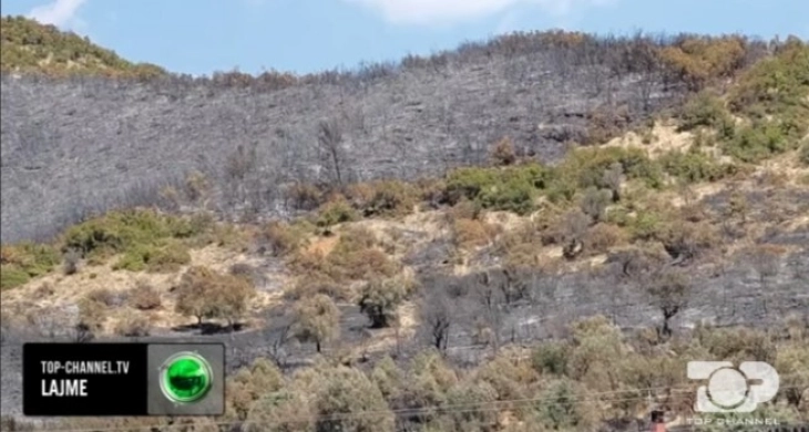 Во Албанија годинава опожарени 54 илјади хектари земјиште,  207 куќи, од што 40 целосно се изгорени