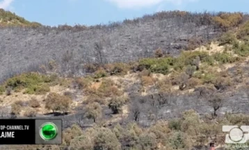 Во Албанија годинава опожарени 54 илјади хектари земјиште,  207 куќи, од што 40 целосно се изгорени