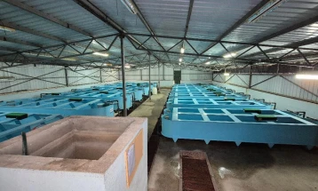 Охридското Езеро порибено со ендемичниот вид пастрмка обезбедена преку вештачки мрест