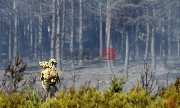 Шумските пожари во ЕУ во 2025 уништија 511.000 хектари, површина девет пати поголема од Скопје