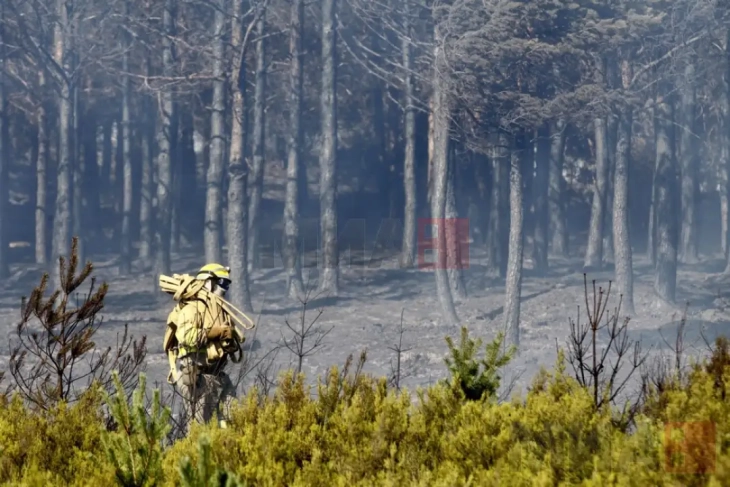 Zjarret pyjore në BE në vitin 2025 shkatërruan 511.000 hektarë, sipërfaqe nëntë herë më e madhe se Shkupi