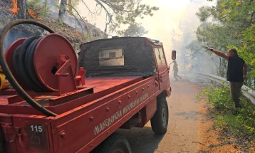 Поради пожар во НП Јасен патот Македонски брод Скопје затворен за секаков вид возила