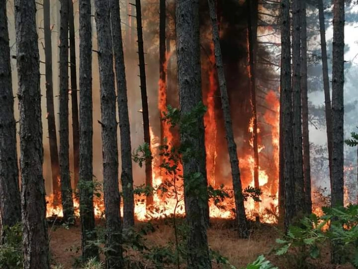 Fire in Tetovo region remains active after reigniting