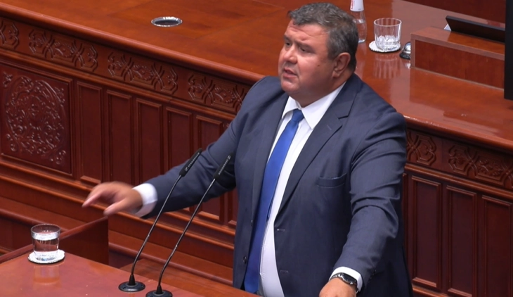 Micevski: DUI is against independent candidates in local elections, even 0.5 percent threshold bothers them