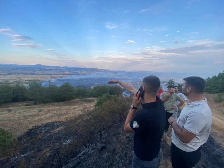 Али: Локализиран пожарот над Лојане, селото целосно заштитено