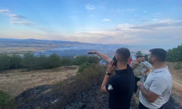 Али: Локализиран пожарот над Лојане, селото целосно заштитено