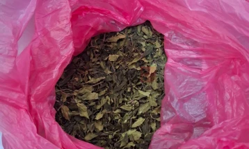 Në aeroportin në Athinë u zbuluan 500 kilogramë drogë Kat me vlerë 1,5 milionë euro